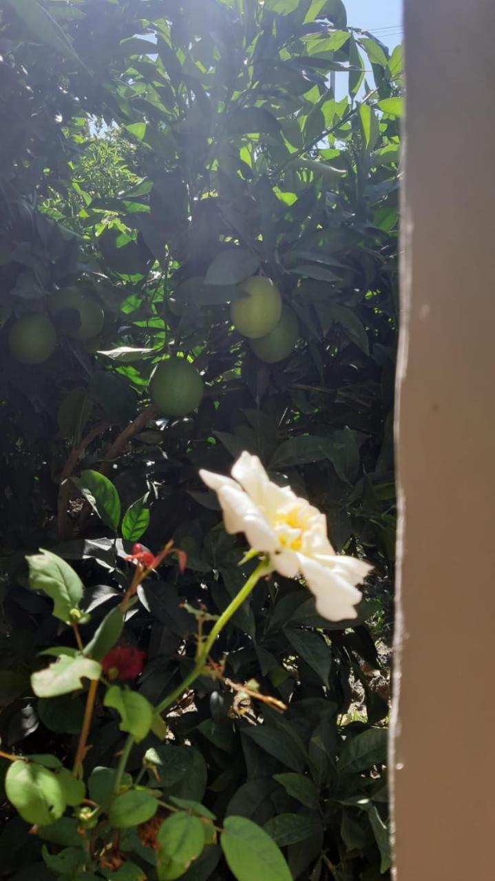 Guest House Emi Berat Bagian luar foto