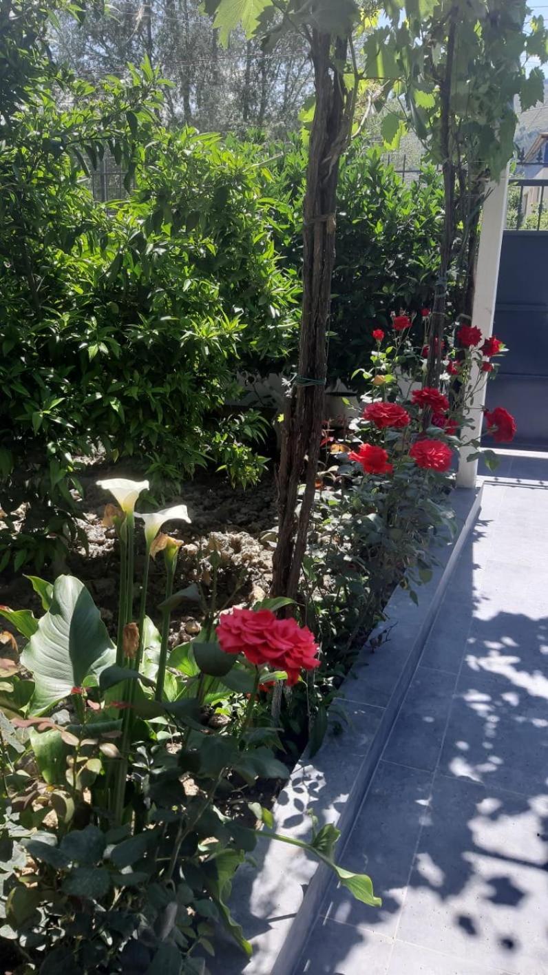 Guest House Emi Berat Bagian luar foto